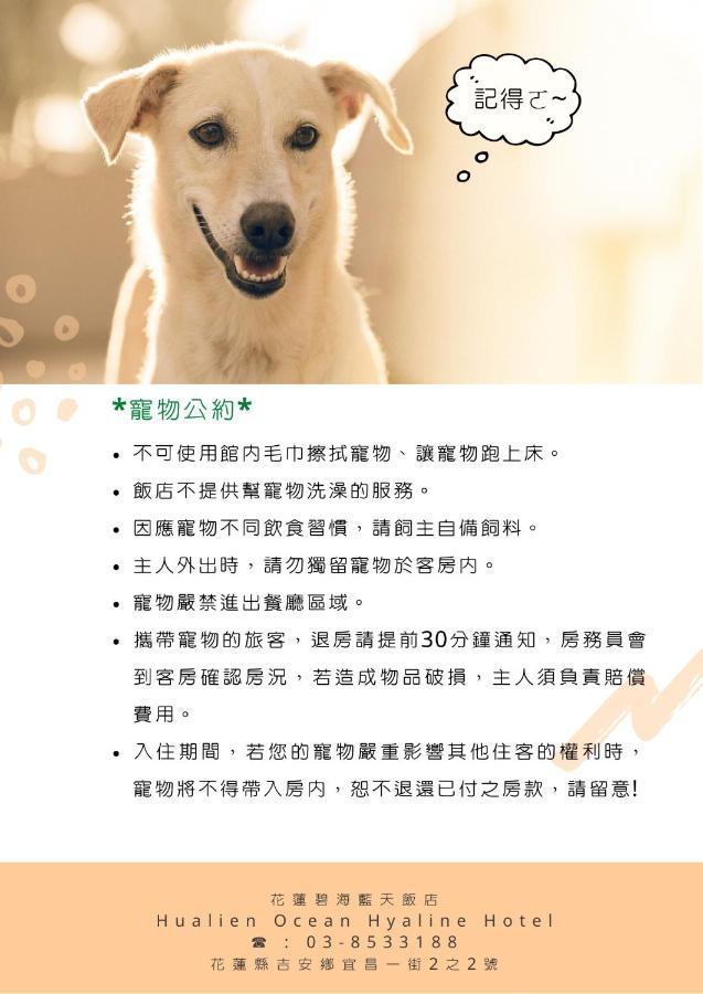 吉安 花莲碧海蓝天饭店酒店 外观 照片